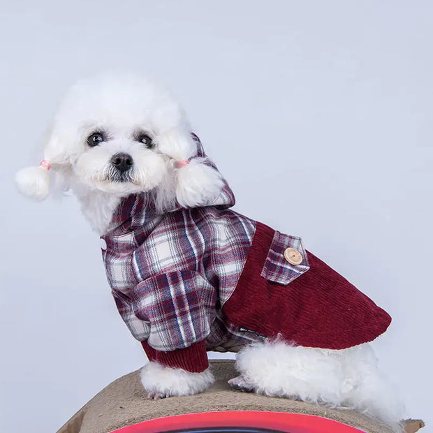 Teddy VIP Cashmere Coat for Small Dogs – Luxury Comfort for Every Walk