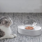 Adjustable Elevated Pet Feeding Bowls – Ergonomic, Durable & Stylish