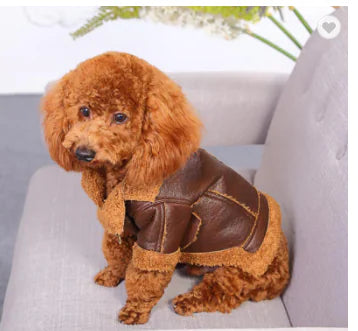 Punk Leather Sweater for Dogs – Bold Style Meets Cozy Comfort