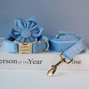 Blue Velvet Dog Collar with Matching Leash – Elegant, Soft & Adjustable