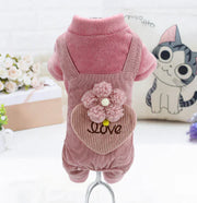 Teddy, Bichon & Pomeranian Plush Cotton Coat – Soft, Warm & Adorable