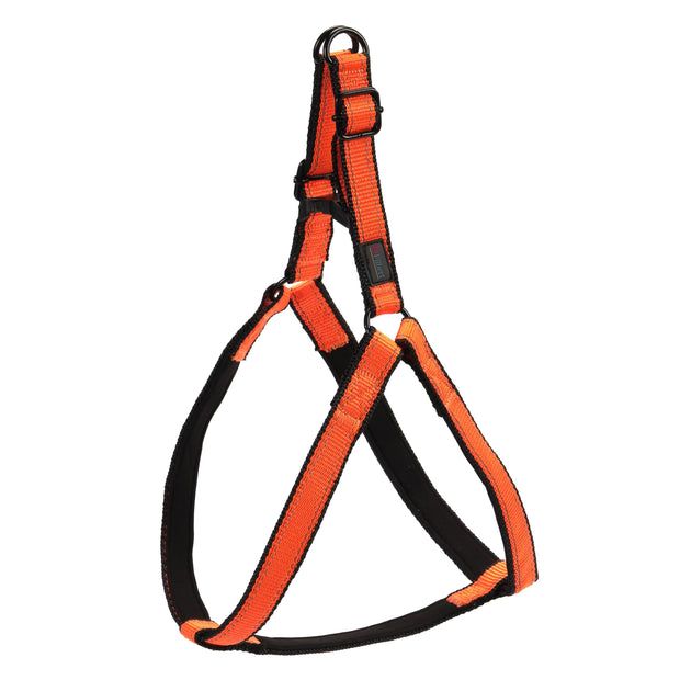 Filbert No-Pull Dog Harness – Reflective, Lightweight & Adjustable