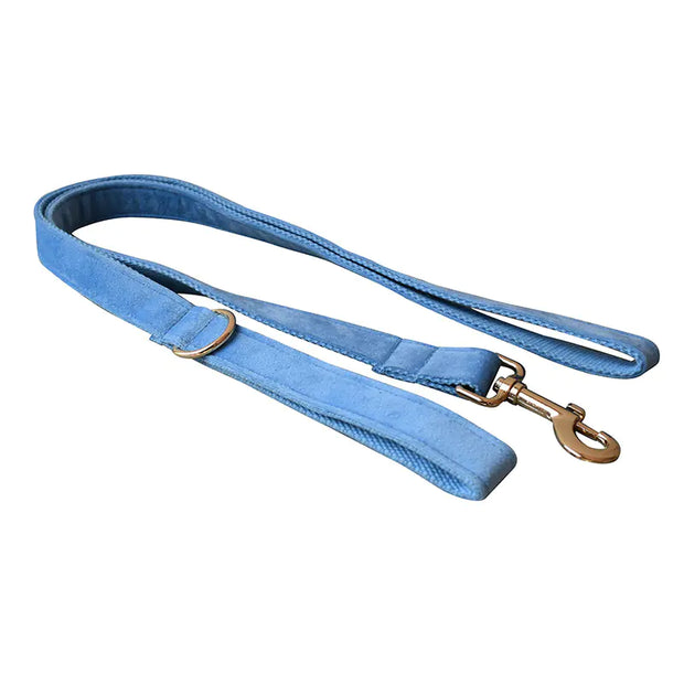 Blue Velvet Dog Collar with Matching Leash – Elegant, Soft & Adjustable