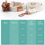 Lace Pet Dog Leash with Chest Strap – Elegant & Comfortable for Small to Medium Pets